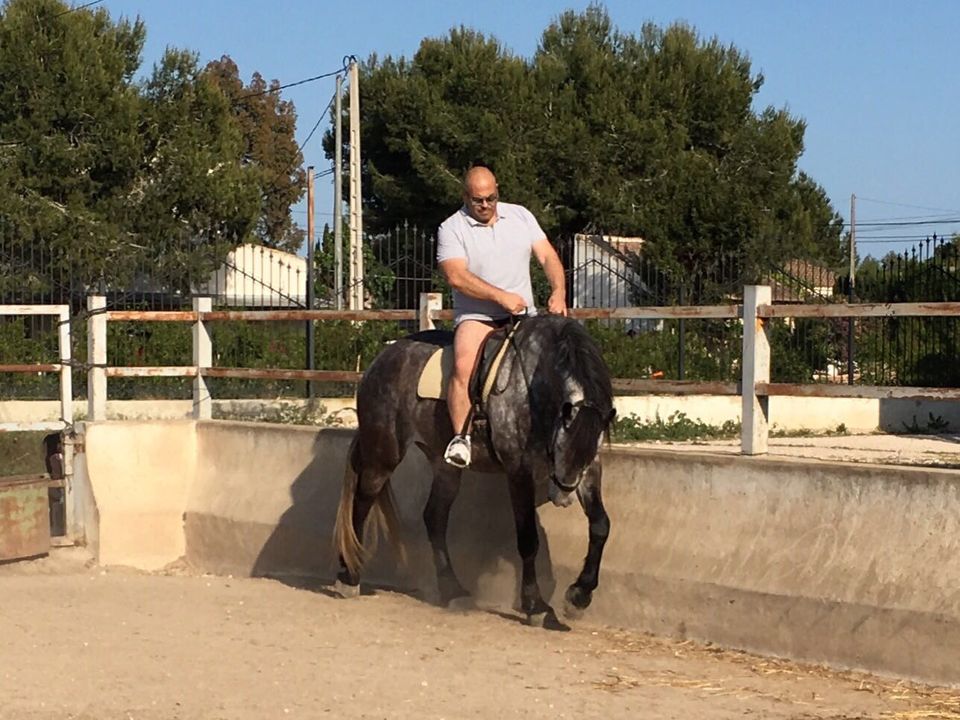 Land in Dolores, Alicante - photo 5